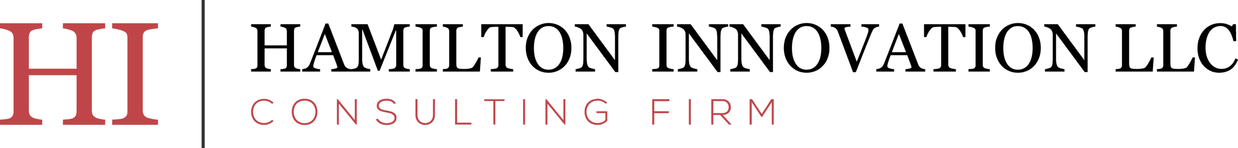 HI Consulting Firm
